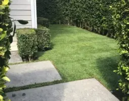 landscape management  x