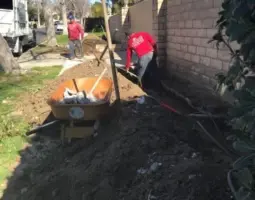 landscape management  x