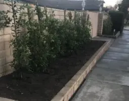 landscape management  x