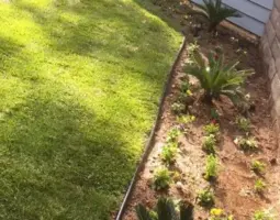 landscape management  x