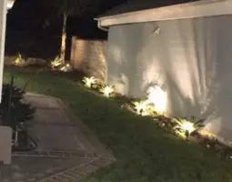 landscape management  x