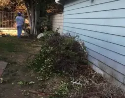 landscape management  x